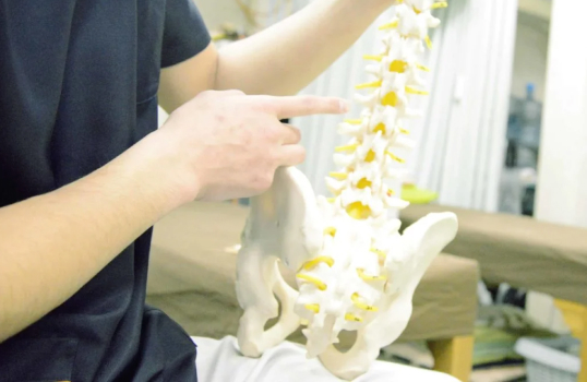 Physiotherapist holding and pointing to a model of the human spine and pelvis, demonstrating spinal anatomy for patient education in a clinical setting.